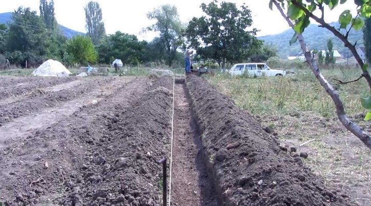 подготовить землю для посадки малины